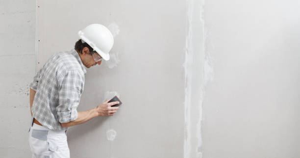 Best Residential Painting  in San Ramon, CA